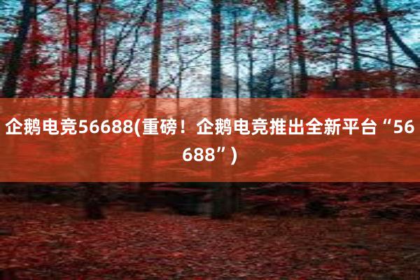 企鹅电竞56688(重磅！企鹅电竞推出全新平台“56688”)