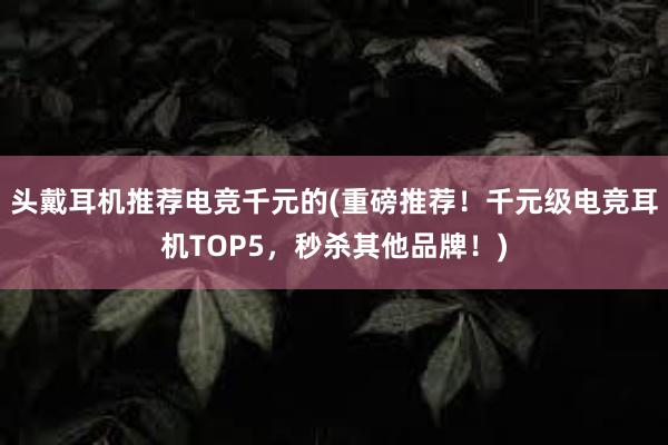 头戴耳机推荐电竞千元的(重磅推荐！千元级电竞耳机TOP5，秒杀其他品牌！)