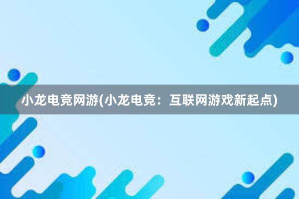 小龙电竞网游(小龙电竞：互联网游戏新起点)