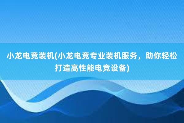 小龙电竞装机(小龙电竞专业装机服务，助你轻松打造高性能电竞设备)