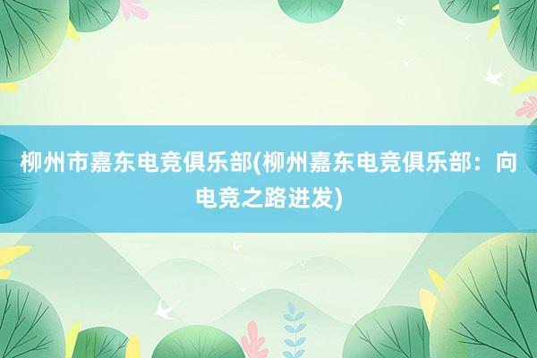 柳州市嘉东电竞俱乐部(柳州嘉东电竞俱乐部：向电竞之路进发)