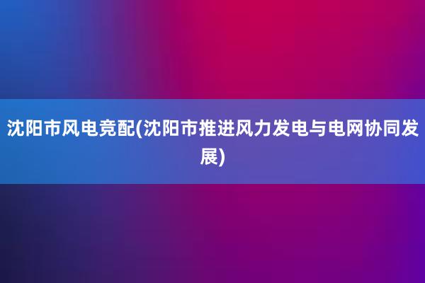 沈阳市风电竞配(沈阳市推进风力发电与电网协同发展)