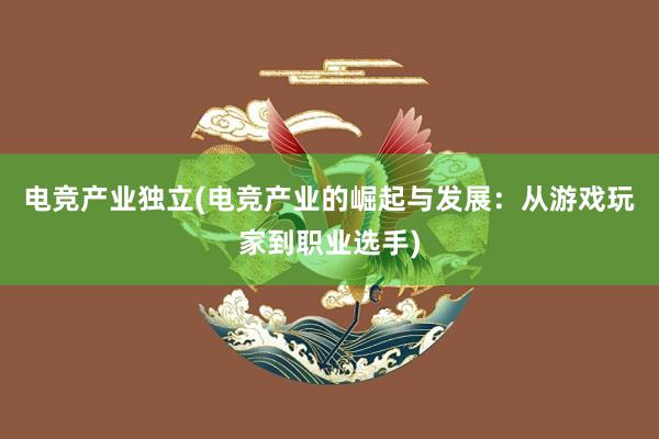 电竞产业独立(电竞产业的崛起与发展：从游戏玩家到职业选手)