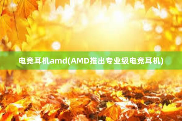 电竞耳机amd(AMD推出专业级电竞耳机)