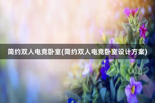 简约双人电竞卧室(简约双人电竞卧室设计方案)