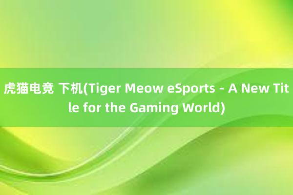 虎猫电竞 下机(Tiger Meow eSports - A New Title for the Gaming World)