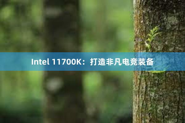 Intel 11700K：打造非凡电竞装备