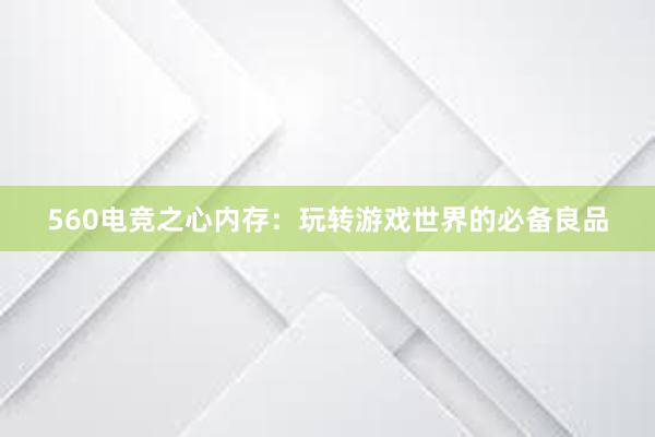 560电竞之心内存：玩转游戏世界的必备良品