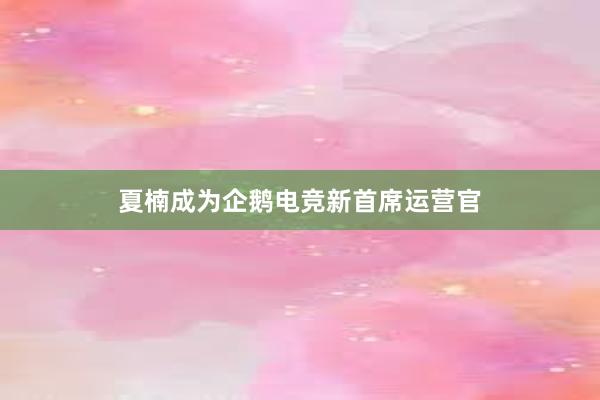 夏楠成为企鹅电竞新首席运营官