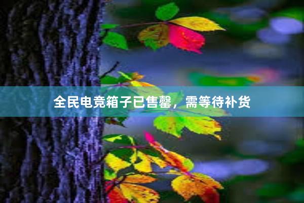 全民电竞箱子已售罄，需等待补货