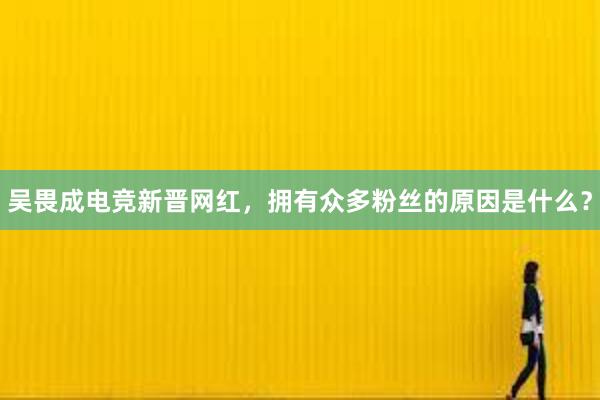 吴畏成电竞新晋网红，拥有众多粉丝的原因是什么？