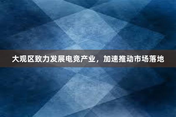 大观区致力发展电竞产业，加速推动市场落地