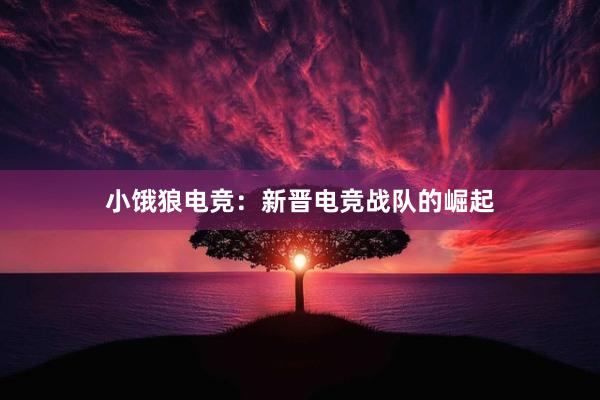 小饿狼电竞：新晋电竞战队的崛起