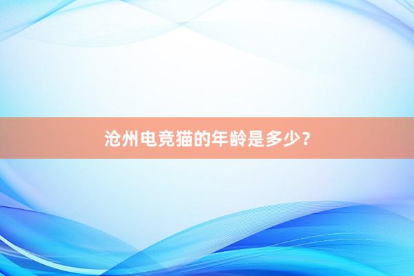 沧州电竞猫的年龄是多少？