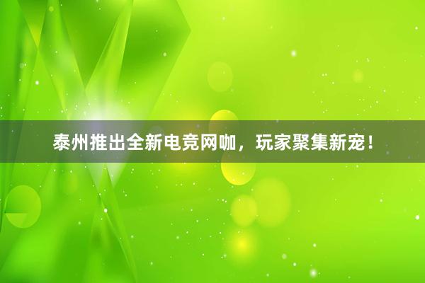 泰州推出全新电竞网咖，玩家聚集新宠！