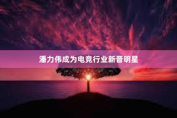 潘力伟成为电竞行业新晋明星