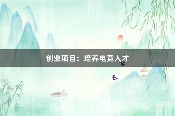 创业项目：培养电竞人才