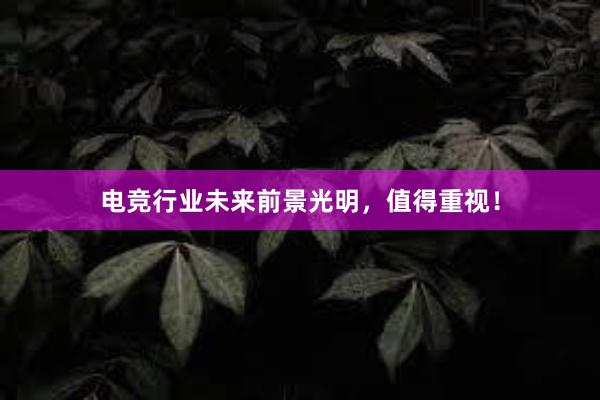 电竞行业未来前景光明，值得重视！