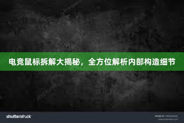 电竞鼠标拆解大揭秘，全方位解析内部构造细节