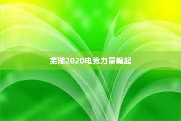 芜湖2020电竞力量崛起