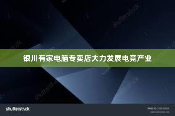 银川有家电脑专卖店大力发展电竞产业